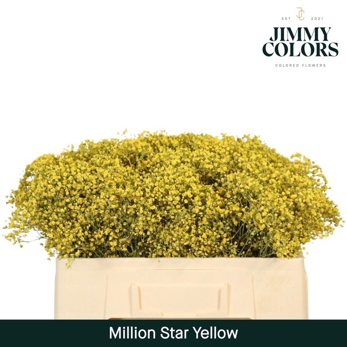 <h4>Gyps Million Star l50 Yellow</h4>