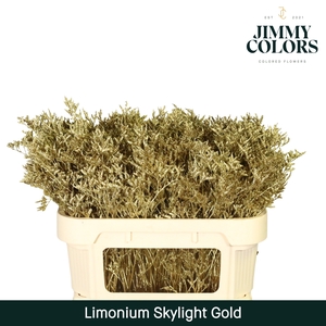 Limonium Skylight L70 Mtlc. Goud