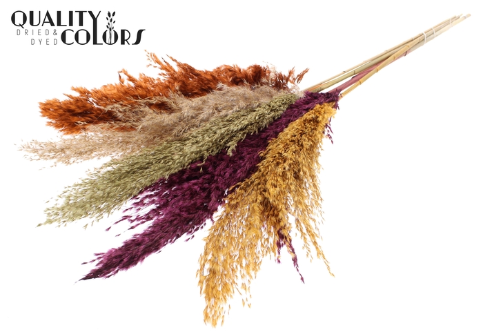 Pampas Grass 100cm 5st/bunch Pumpkin Spice Mix