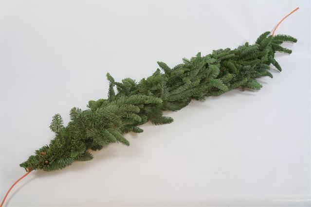 <h4>GUIRLANDE NOBILIS H%</h4>