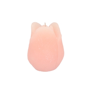 Candle Tulip White Pink 9x11cm Nm