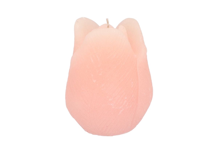 Candle Tulip White Pink 9x11cm Nm