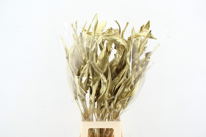 <h4>DF Strelitzia Leaf Gold</h4>