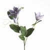 AF Clematis Spray x3 L36 Blue