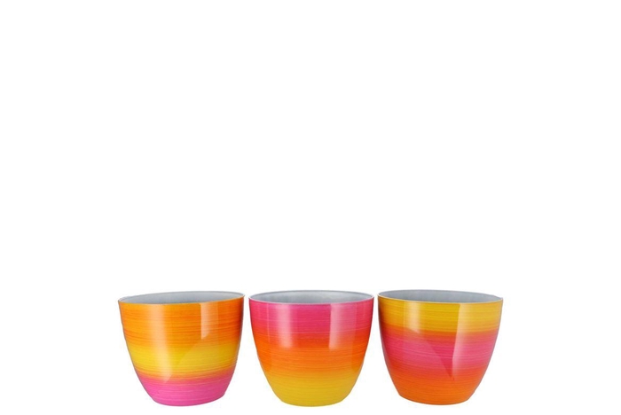 <h4>Melamine Rainbow Fuchsia Pot Ass 18x15cm</h4>