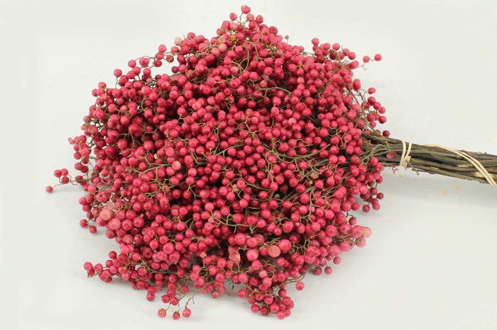 <h4>Schinus m.pink (natural)</h4>