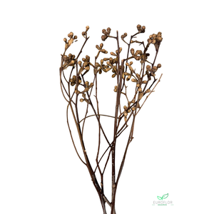 EUCALYPTUS TAK NATURAL