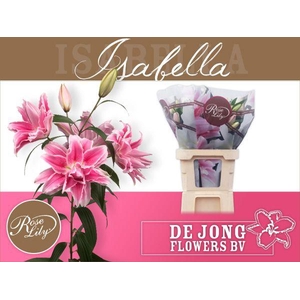 LI OR DU RL ISABELLA