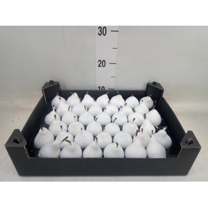 Decoratieve materialen   ...H%