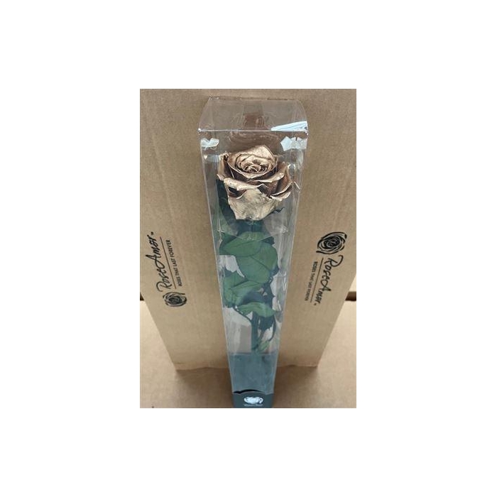 <h4>50cm Stem Metallic Gold</h4>