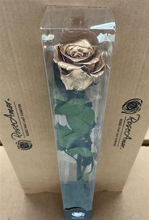 50cm Stem Metallic Gold