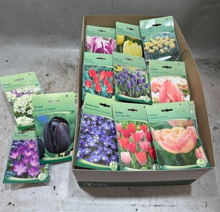 <h4>Bloembol Ov Springmix</h4>