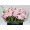 Ranunculus Clooney Polka Super