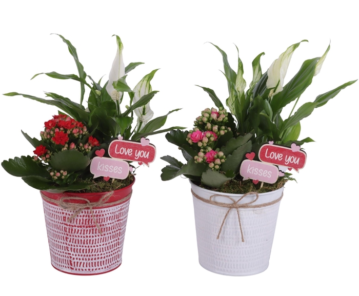 <h4>Valentine Arr. Indoor Zinc Pot Round Red/White Ø12cm 2PP</h4>