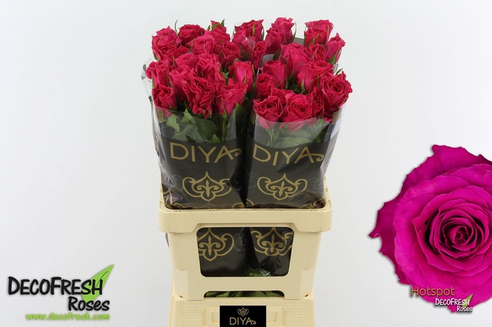 <h4>R Gr Hotspot</h4>