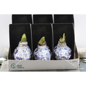 Bloembol Hippe Wax Cadeau Verp