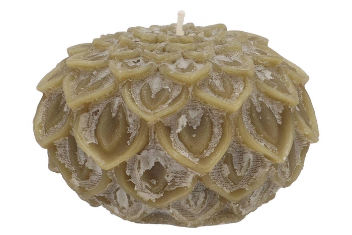 <h4>Candle Dahlia Olive 15x10cm</h4>