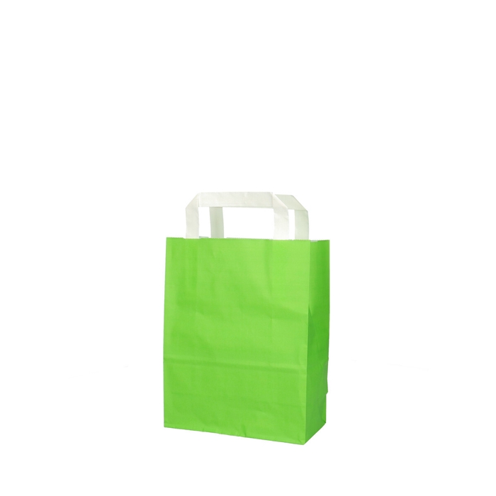 <h4>Bags Paper 18/8*23cm</h4>