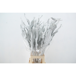 DF Strelitzia Leaf White