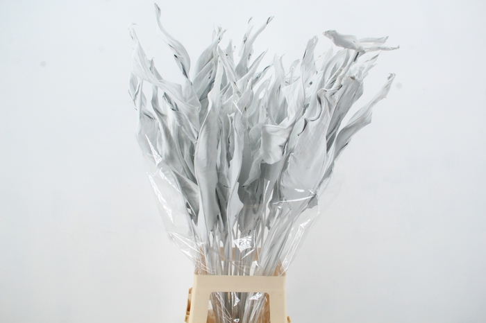 <h4>DF Strelitzia Leaf White</h4>