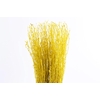 Berk Klb Yellow