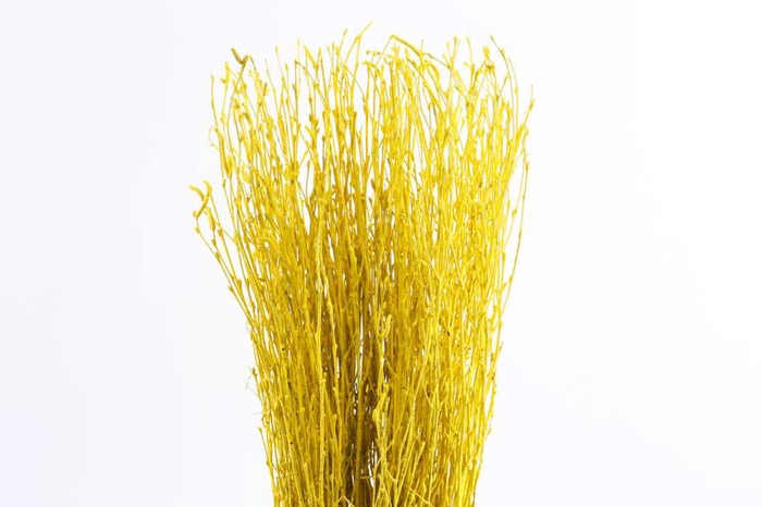 <h4>Berk Klb Yellow</h4>