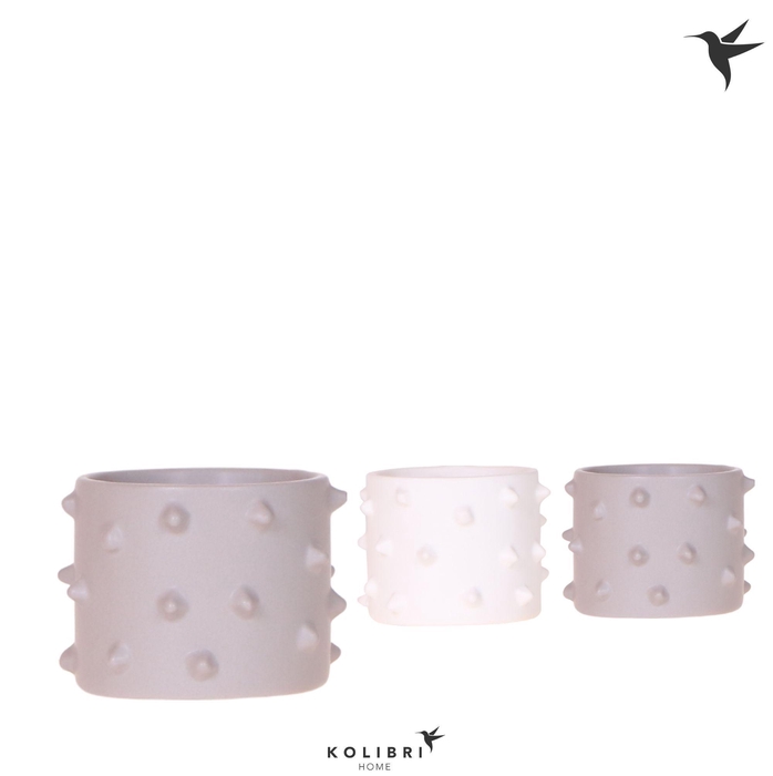 <h4>Kolibri Home Spike pot mix</h4>