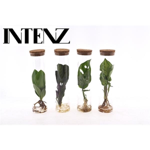 Mix in tube glas