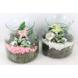 arr2 PL - Glas vaas nobles - roze/wit