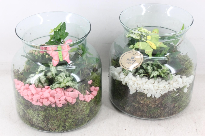 <h4>arr2 PL - Glas vaas nobles - roze/wit</h4>