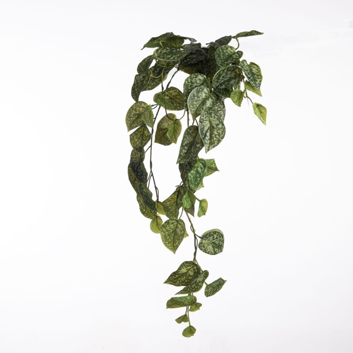 <h4>AF Scinda Pic Hang x5 H85cm Gr</h4>