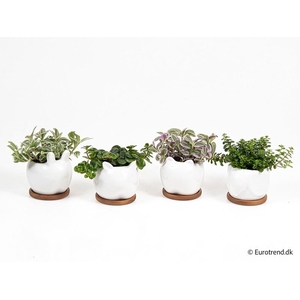 E 4279 dyr på træfod