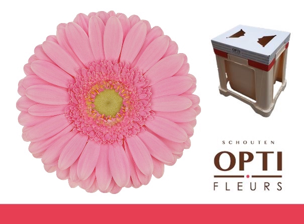 <h4>GE GR GLOSSY-Water</h4>