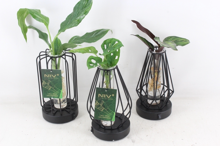 <h4>arr3 VD - Turijn glas + led</h4>