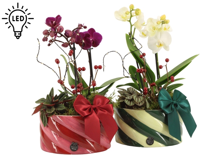 <h4>61787: X-mas arrangement met LED</h4>