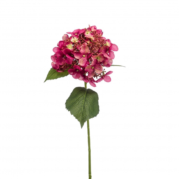 <h4>Hydrangea 50cm</h4>