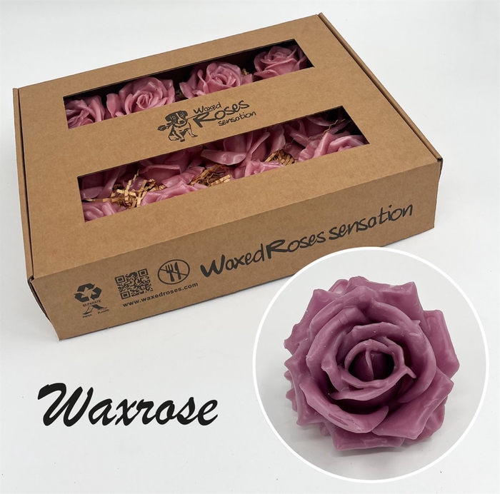 <h4>R Zijde Wx Milka</h4>