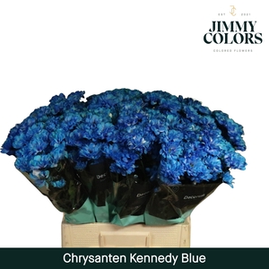 Chr T Kennedy Blue
