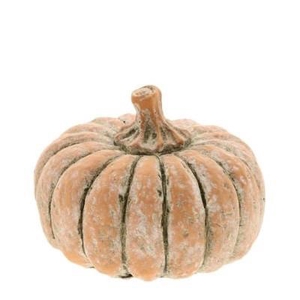 Herfst Deco pompoen d16.5*10cm