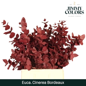 Cinerea per bos 200g Bordeaux