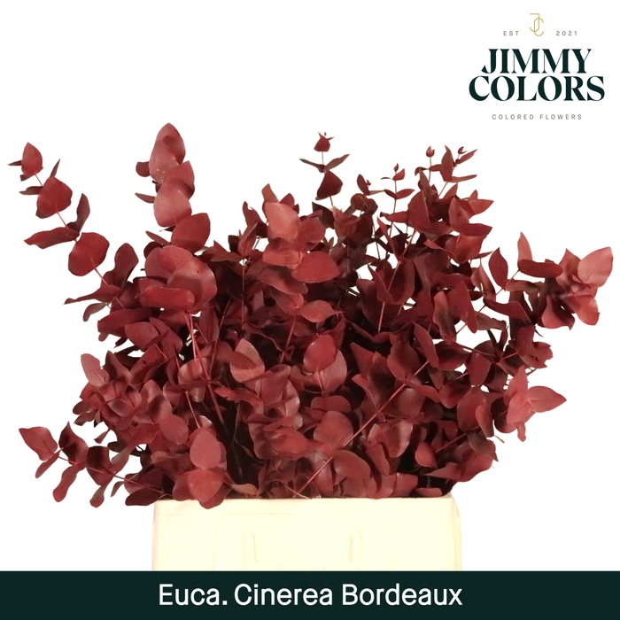 <h4>Cinerea per bos 200g Bordeaux</h4>