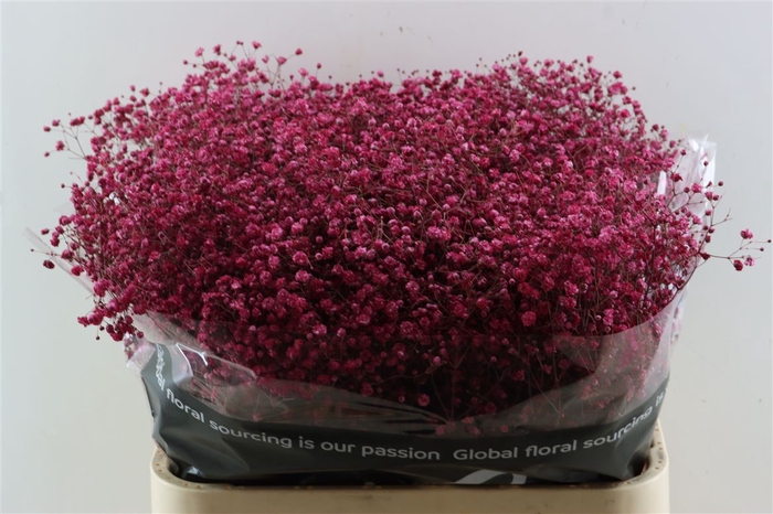 <h4>Gyps Grof Cherry /wijnrood (dip)</h4>