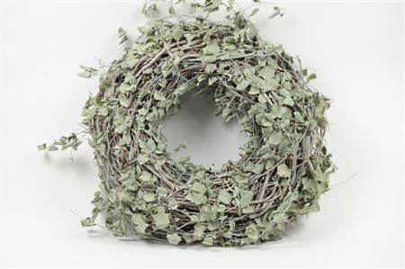 <h4>Wreath Hoppe Birchleaf H12d30</h4>