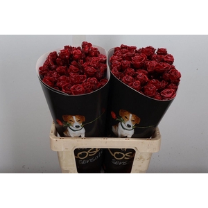 Wax-Rozen Wax Tros Bordeaux