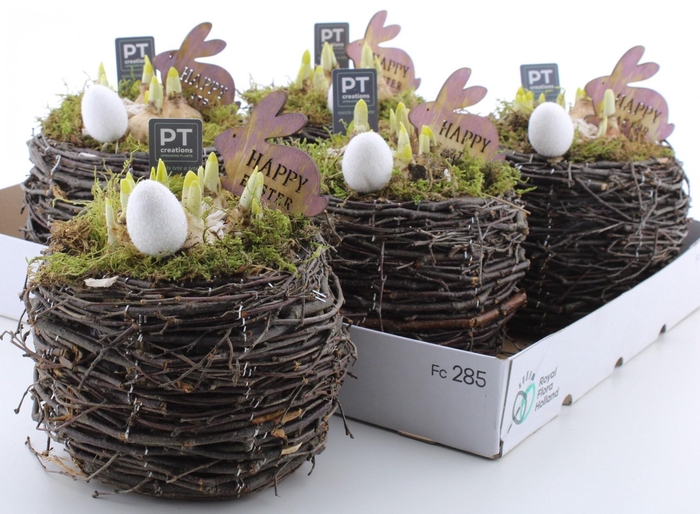 <h4>ARR N TETE A TETE</h4>