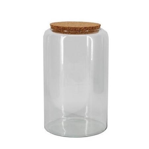 Glass Terrarium Eco Mari d14/19*30cm