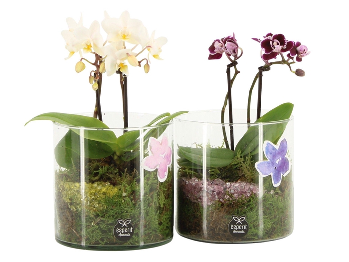 <h4>11616: Consideration arrangement</h4>