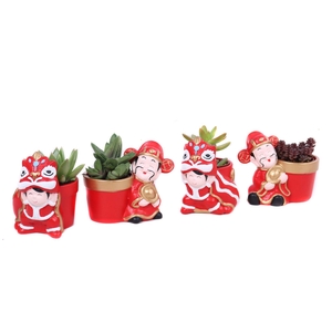 Succulenten 5,5 cm in Chongqing planter