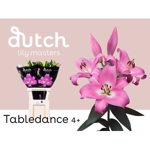 LI OT TABLEDANCE 4+