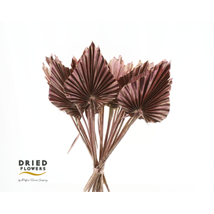 Dried Palm Spear Small Metallic Pink